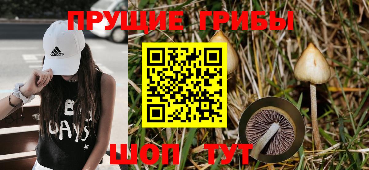 Галлюциногенные грибы прущие грибы Невинномысск