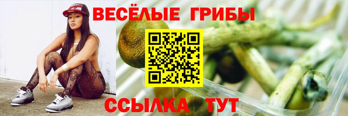 Псилоцибиновые грибы GOLDEN TEACHER  Вход с VPN  Невинномысск 
